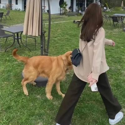 两根枪管